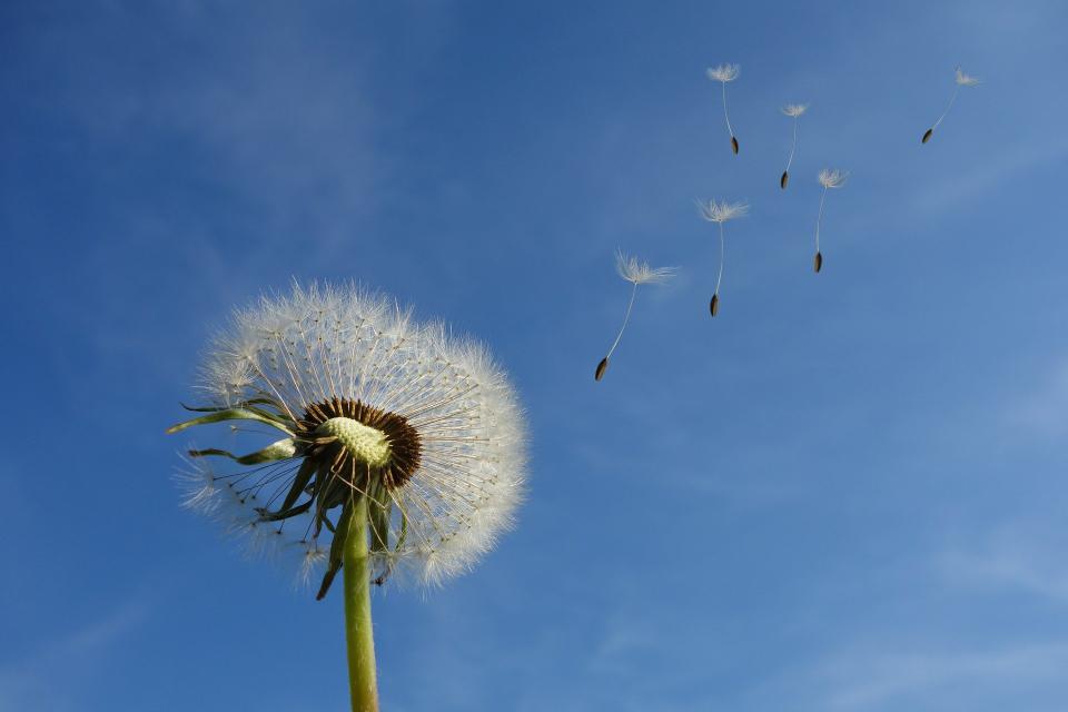 Newsletter 02/2022 - Selbstbestimmtheit statt sich den Umständen anzupassen