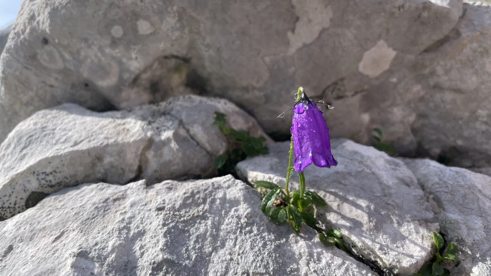 Impuls 08/2024 - Gute Führung: voller bunter Bilder und Erzählungen
