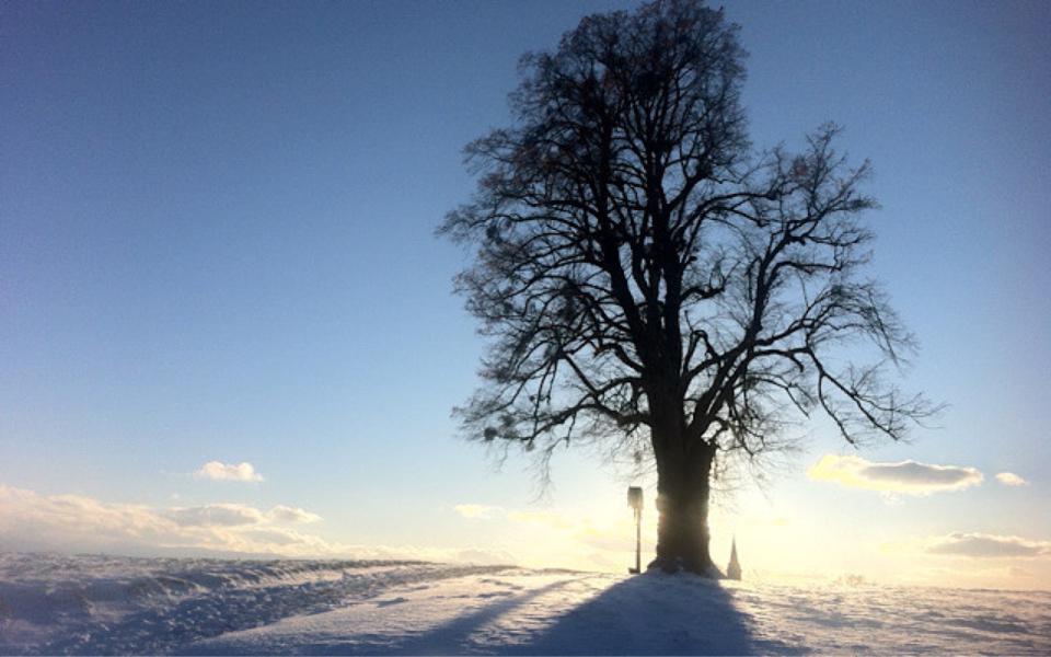 Newsletter 12/2020 - Zur Ruhe kommen und gestärkt daraus hervorgehen